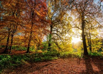 The Path to Purpose: Inspirational Quotes to Guide Your Journey