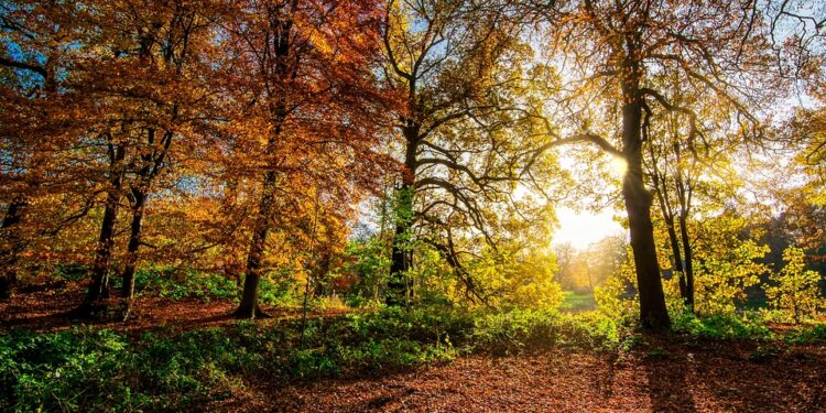 The Path to Purpose: Inspirational Quotes to Guide Your Journey