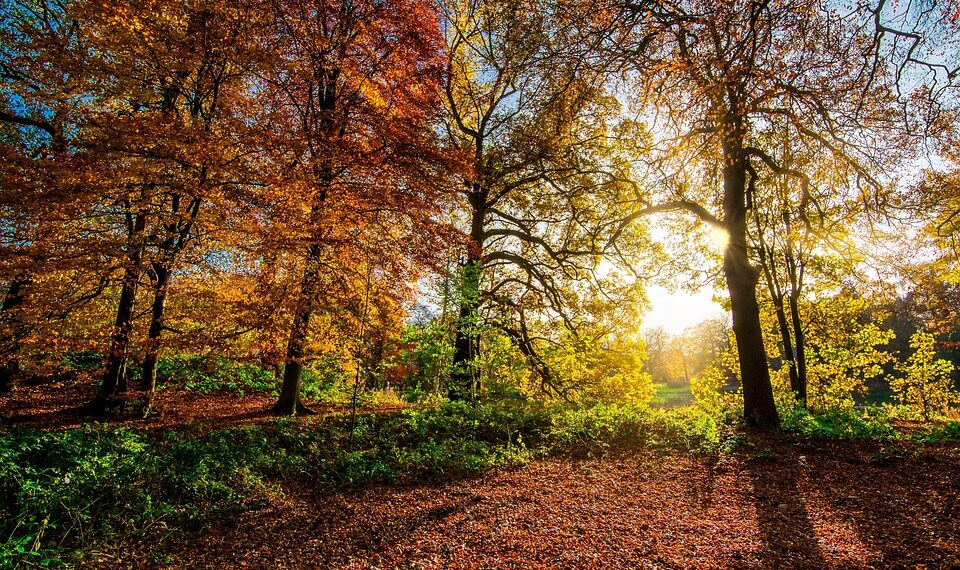 The Path to Purpose: Inspirational Quotes to Guide Your Journey