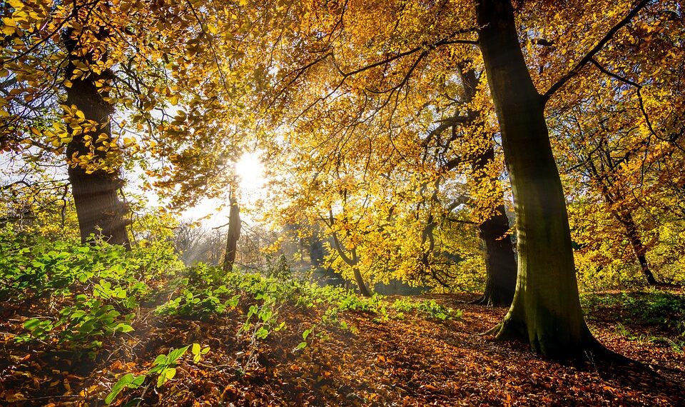 Unleashing Your Inner Power: Empowering Quotes to Ignite Your Potential