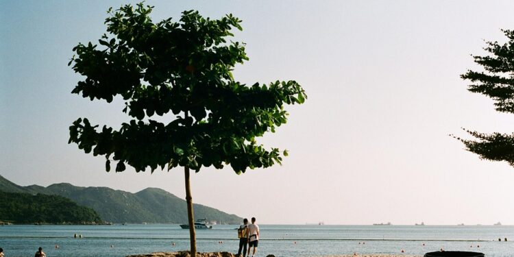 Forever First: Heartfelt Quotes for Your First Love