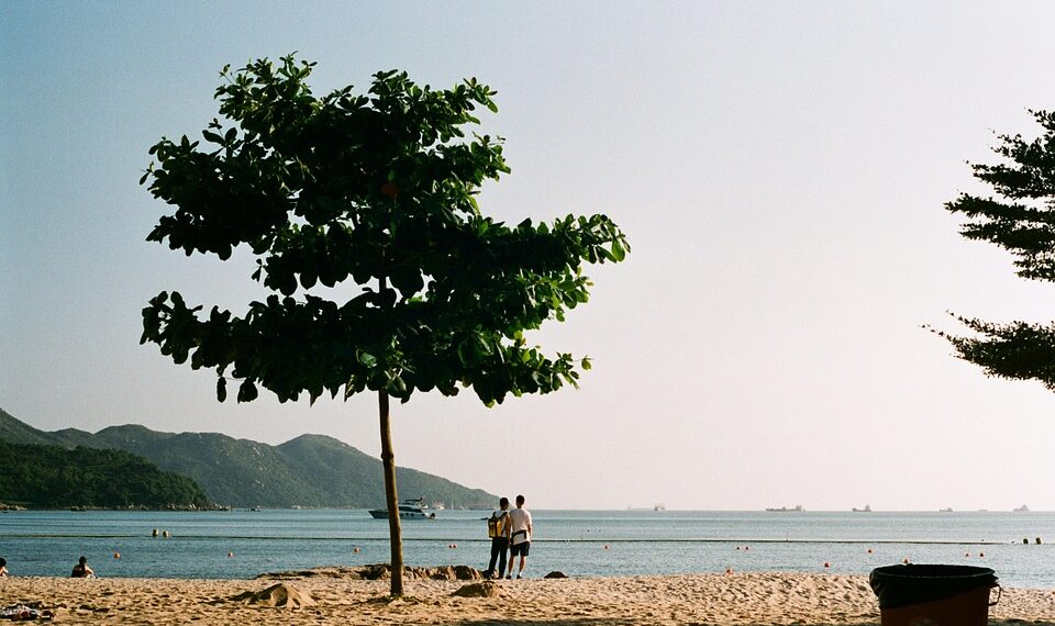 Forever First: Heartfelt Quotes for Your First Love