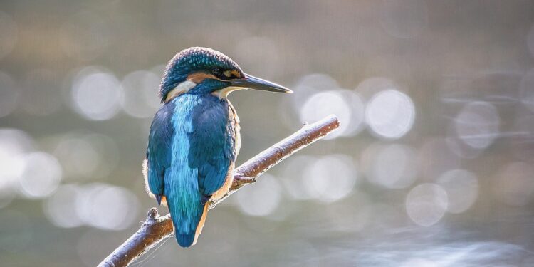 Unstoppable: Inspiring Quotes on the Power of Determination