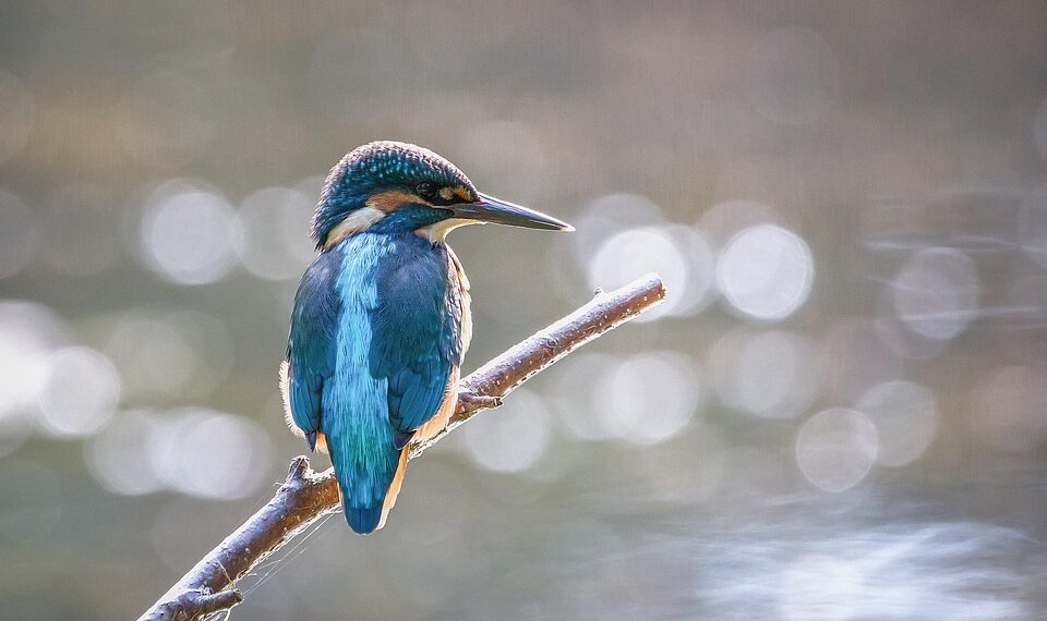 Unstoppable: Inspiring Quotes on the Power of Determination