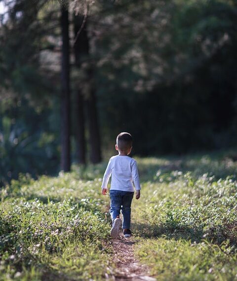 Laugh Out Loud: The Best Funny Jokes and Quotes to Brighten Your Day