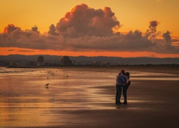 Heartfelt Expressions: Love and Affection Quotes to Warm Your Soul