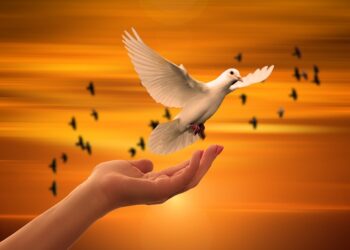 The Power of Self-Awareness: Inspiring Quotes to Help You Discover Your True Potential