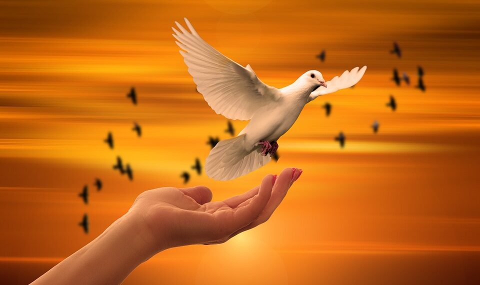 The Power of Self-Awareness: Inspiring Quotes to Help You Discover Your True Potential