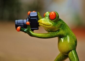 Sharp Wit and Clever Observations: Unleashing the Power of Insightful Thinking