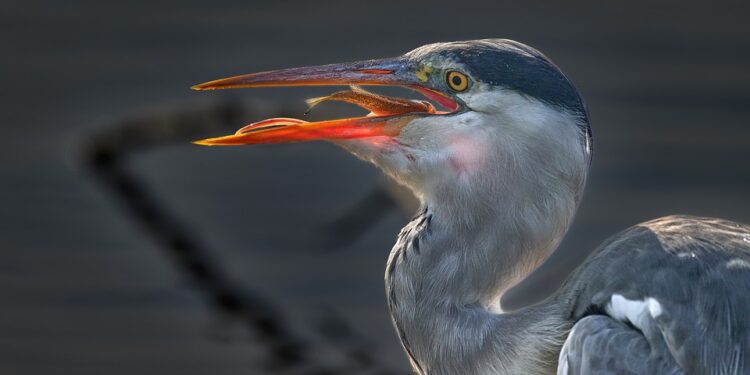 The Power of Patience: Inspiring Quotes for Successful Investors