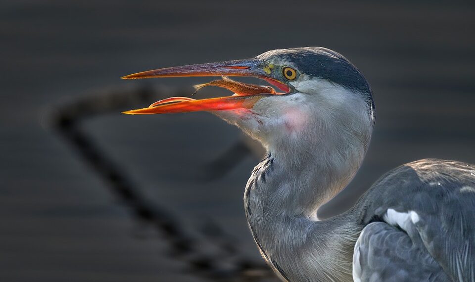 The Power of Patience: Inspiring Quotes for Successful Investors