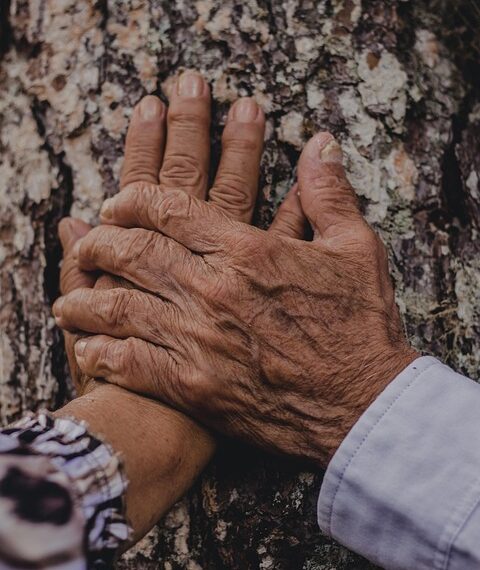 Forever Starts Here: Inspiring Marriage Quotes to Strengthen Your Relationship