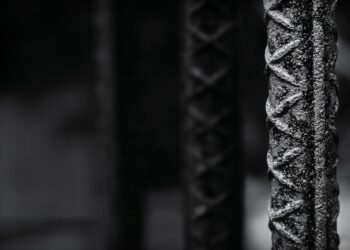 Revolutionary Words: Inspiring Quotes to Spark Change