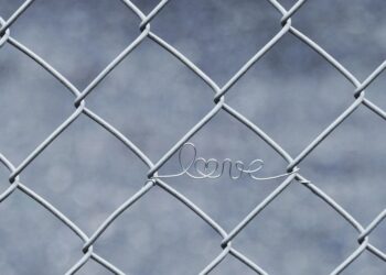 Eternal Bonds: Love and Loyalty Quotes to Inspire and Cherish