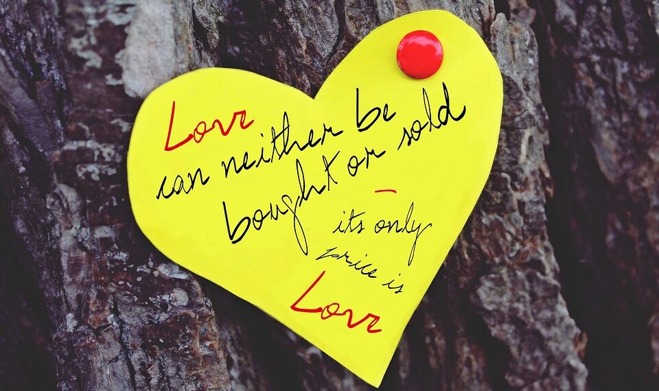 Love in Every Word: Heartfelt Valentine’s Day Quotes to Warm Your Soul