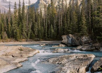 Building Bridges: Inspiring Trust Quotes to Strengthen Relationships