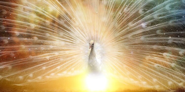 Sweat, Sacrifice, Success: Inspirational Quotes on the Power of Hard Work