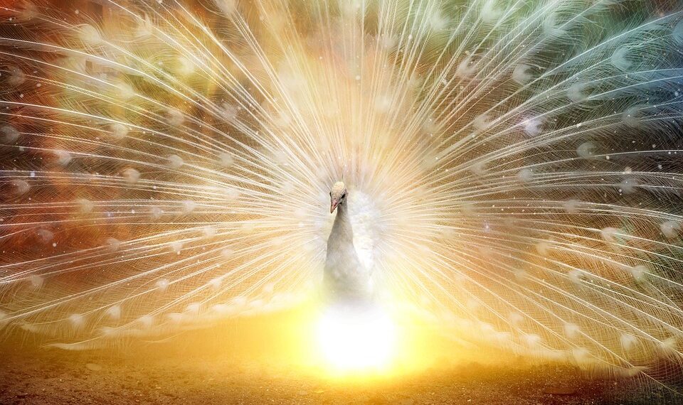 Sweat, Sacrifice, Success: Inspirational Quotes on the Power of Hard Work