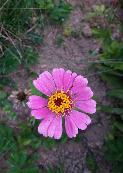 Unstoppable: Inspirational Quotes on the Power of Determination