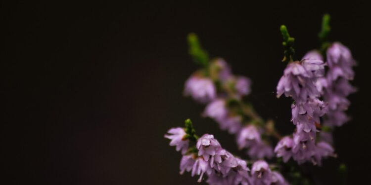 Sweat, Sacrifice, Success: Inspiring Hard Work Quotes to Fuel Your Drive