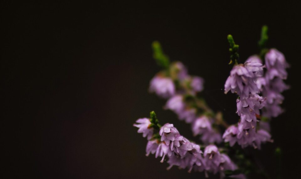 Sweat, Sacrifice, Success: Inspiring Hard Work Quotes to Fuel Your Drive