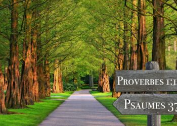 Powering Up: Inspiring Energy Quotes to Fuel Your Day