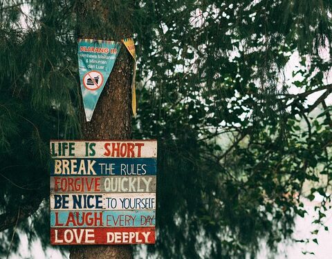 Empower Your Inner Strength: Inspiring Confidence Quotes to Live By