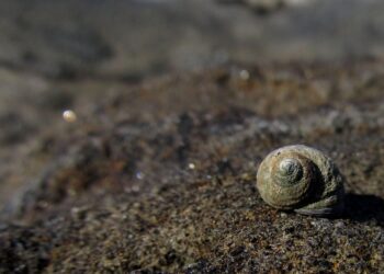 Unleashing the Power of Wisdom: Epic Quotes to Inspire and Motivate