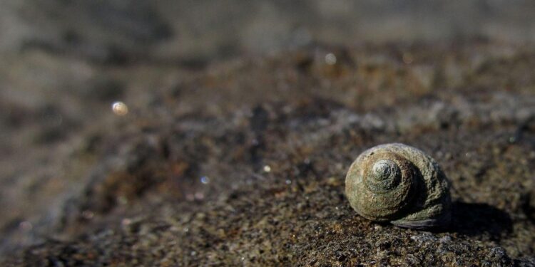 Unleashing the Power of Wisdom: Epic Quotes to Inspire and Motivate