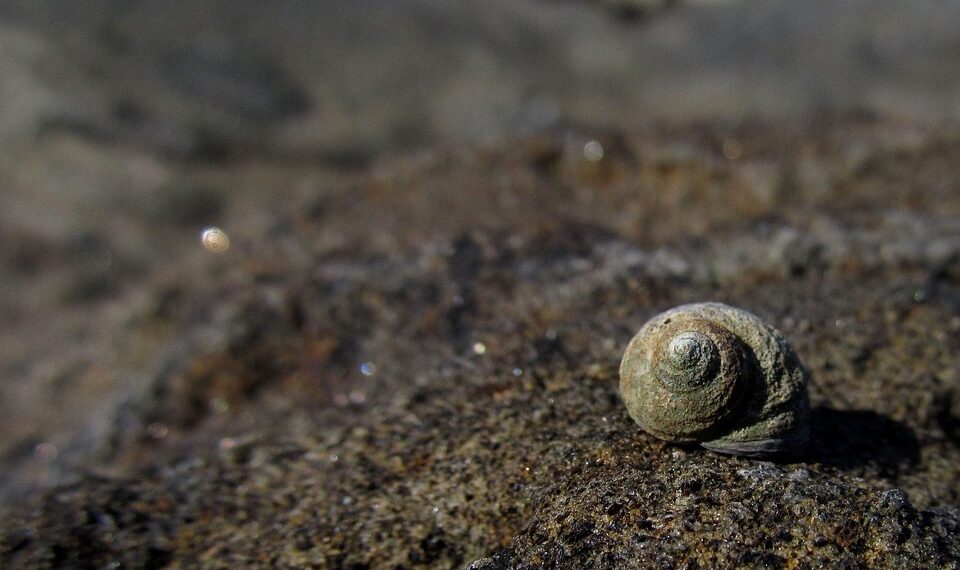 Unleashing the Power of Wisdom: Epic Quotes to Inspire and Motivate