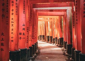 The Timeless Teachings: Exploring the Depths of Historical Wisdom