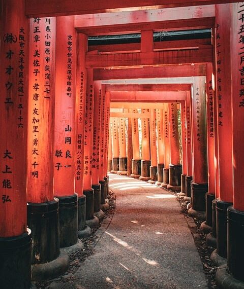 The Timeless Teachings: Exploring the Depths of Historical Wisdom