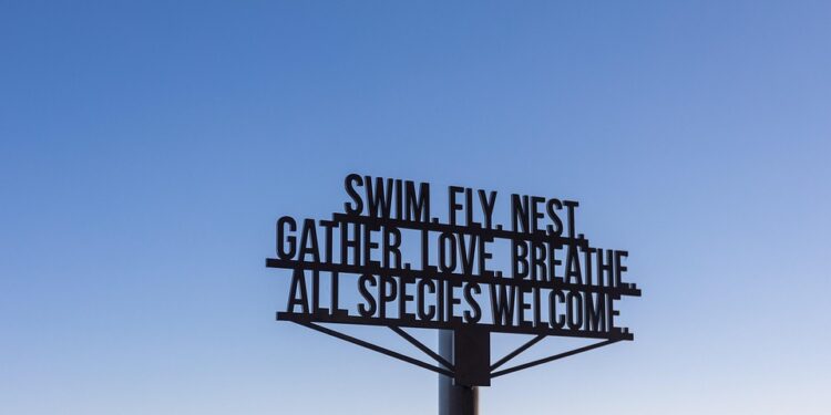 Unleashing the Power Within: Inspiring Success Mindset Quotes to Fuel Your Journey