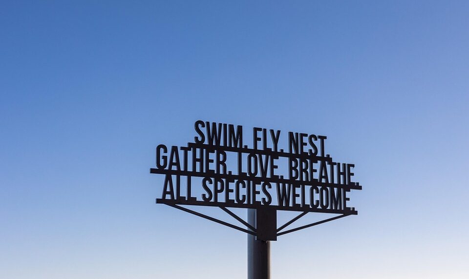 Unleashing the Power Within: Inspiring Success Mindset Quotes to Fuel Your Journey