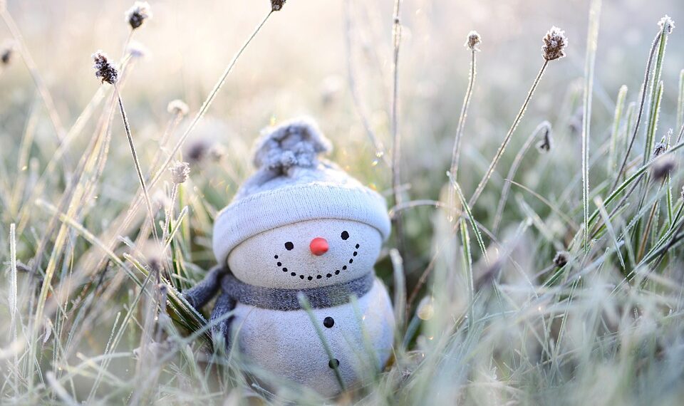 Twisting Truths: The Power of Ironic Quotes