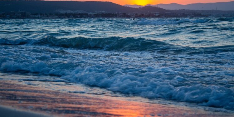 Sweet Love Quotes to Melt Your Heart