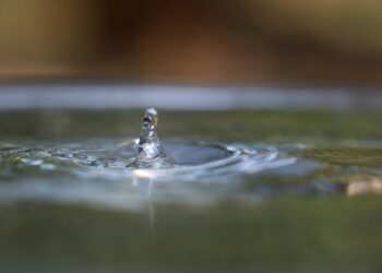 Embracing Enlightenment: Inspiring Quotes for Living a Fulfilling Life