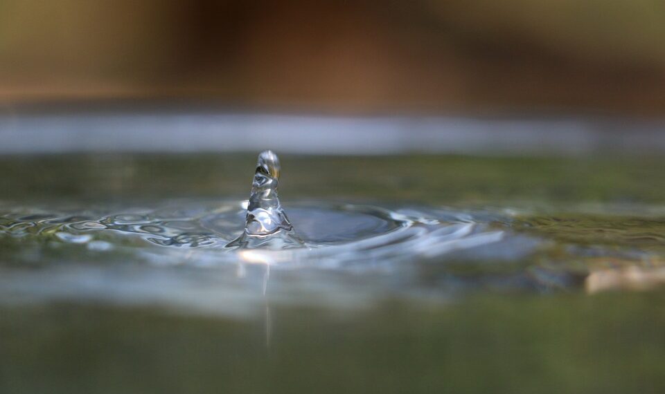 Embracing Enlightenment: Inspiring Quotes for Living a Fulfilling Life